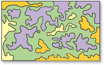 区域分组之前的输入 区域分组之前的输入