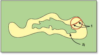 从分区的内部或外部边开始的厚度 从分区的内部或外部边开始的厚度