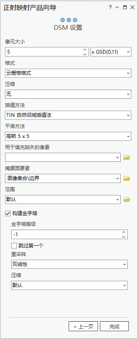 正射映射产品向导 DSM 设置