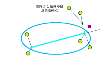 输入网络要素示例 2