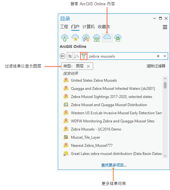 显示按项目类型过滤的搜索结果的目录窗格